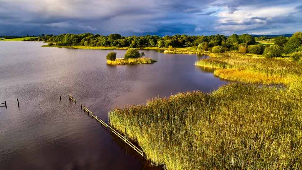 Image of a lake and wetlands.