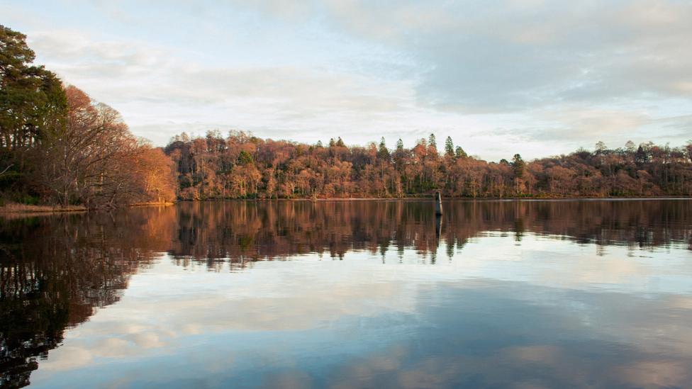 Image of orange and brown trees with cloudy skies and a lake below.