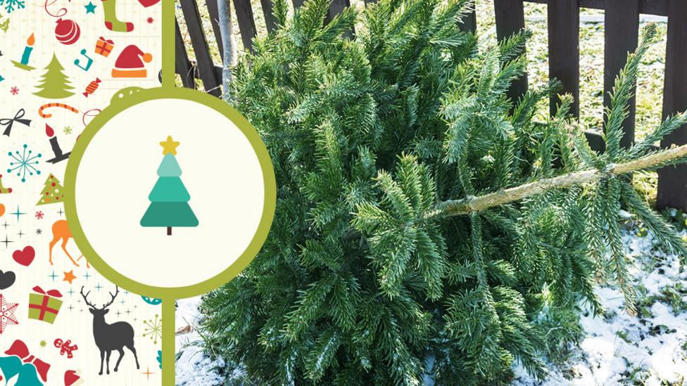 A Christmas tree out in a garden on the floor