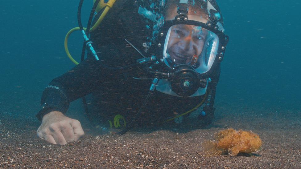 Steve Backshall points to an orange fish at the bottom of the ocean