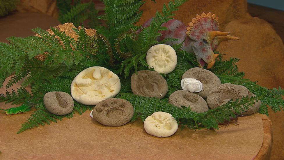 Fossil make on a table