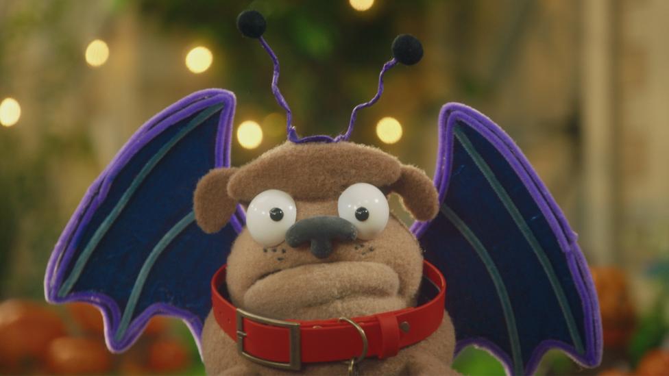 Puggers from Dodge's Pup School dresses as a bat for Halloween