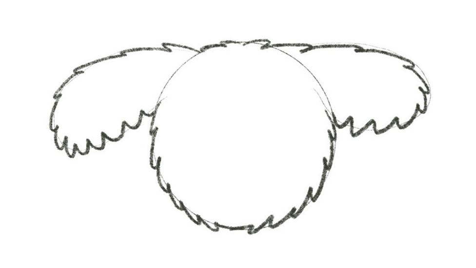 Step-by-step on how to draw Dodge from the CBeebies House.