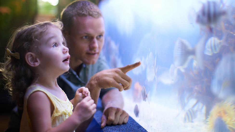 Museums in the UK for families free admission