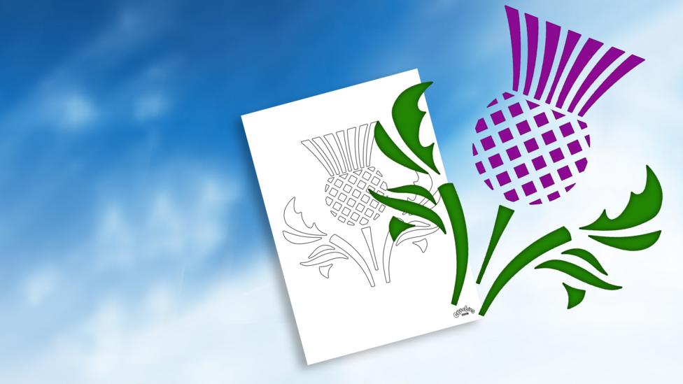 Colour and line art version of a thistle.