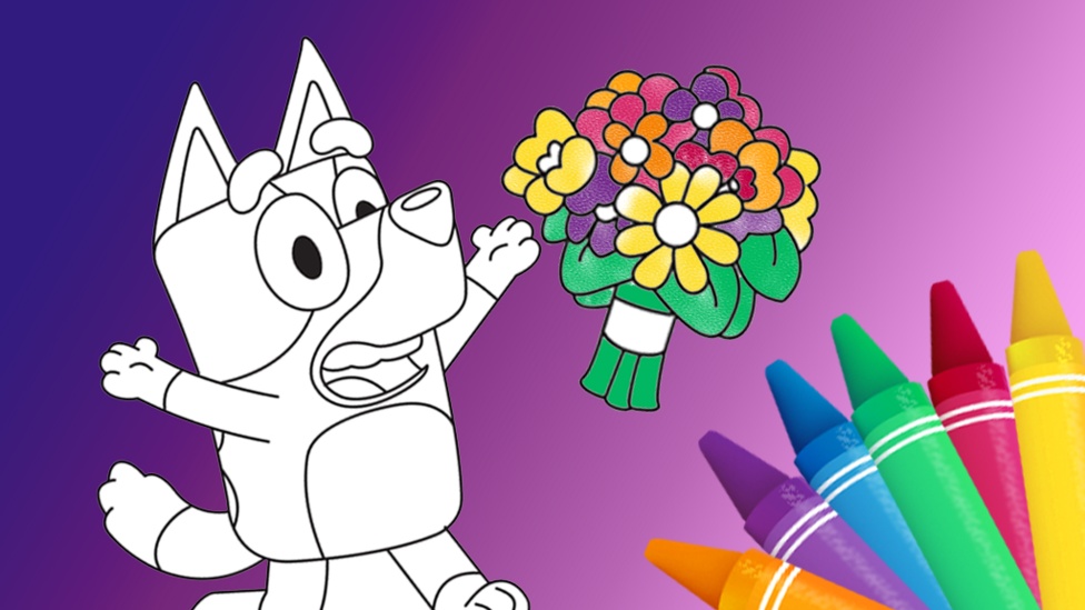 Bluey colouring sheets on CBeebies