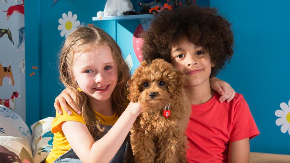 Evie, Waffle and Doug from Waffle the Wonder Dog looking happy together