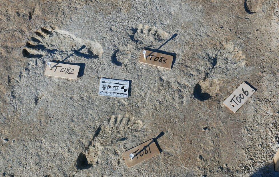 Footprints at White Sands