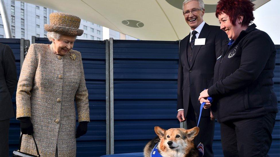 The Queen looks at a corgi at Battersea Dogs and Cats Home in March 2015 as TV presenter Paul O'Grady looks on