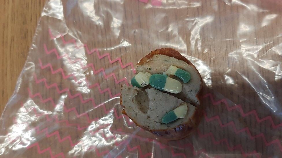 A piece of sausage meat with pills pushed into the meat