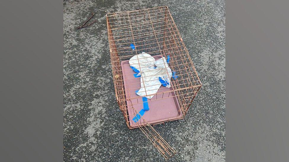 A pink metal crate with a scrunched up puppy pad liner.
