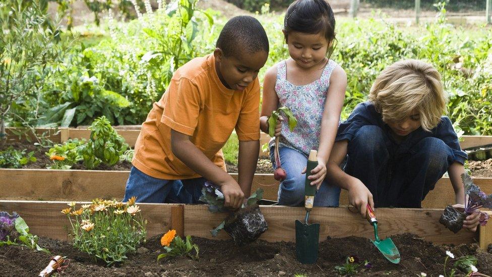 children gardening