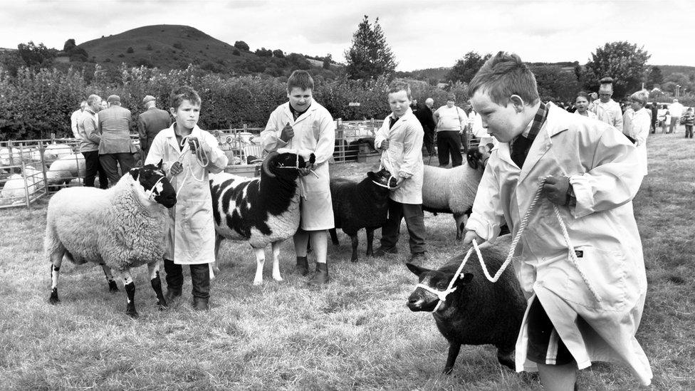 Children show off their prize sheep at the Erwood and District show, Powys