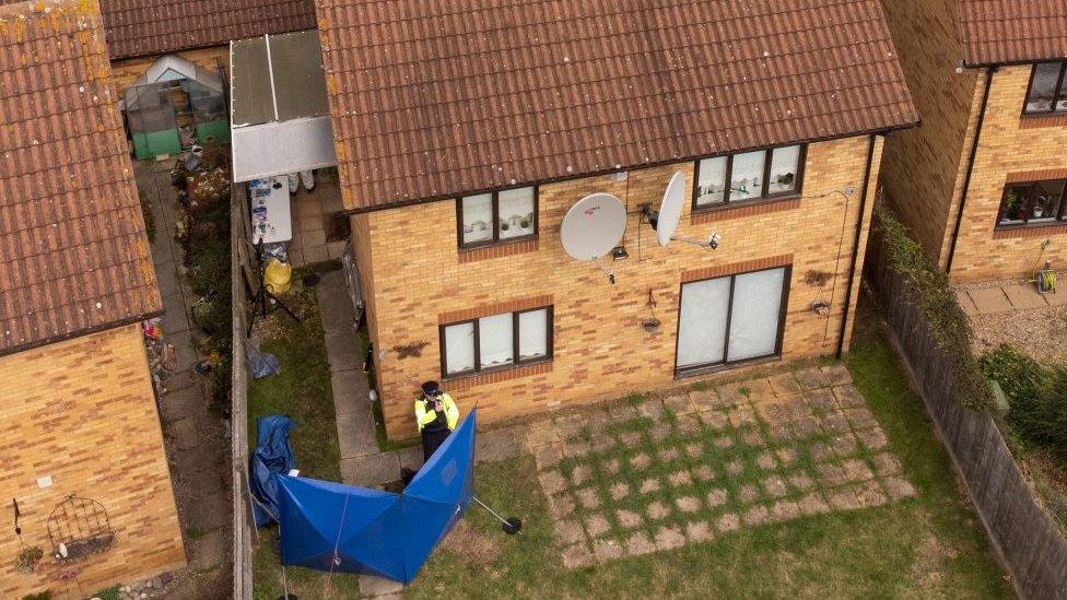 Drone footage shows a blue screen at the end of a path leading to the garden of a house being searched in Loxbeare Drive, Milton Keynes