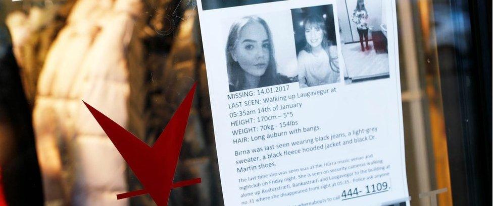 A missing poster for Birna Brjansdottir