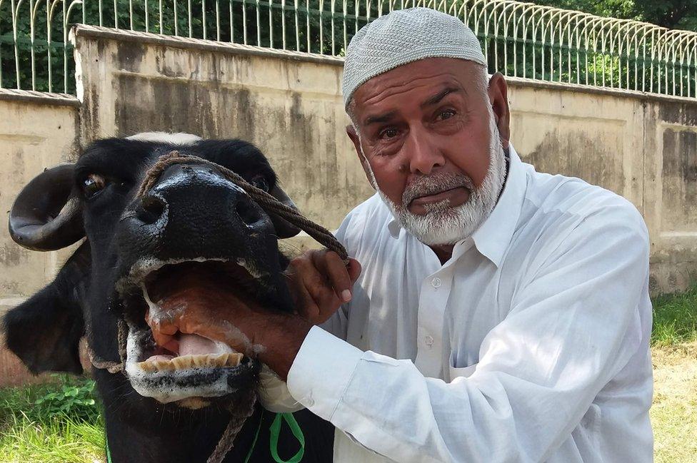 A Pakistani man looks on as he checks a buffalo during an auction at the premises of the Prime Minister house in Islamabad on September 27, 2018