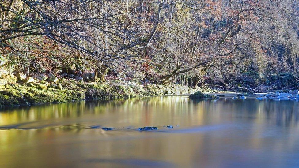 The River Neath near Pontneddfechan