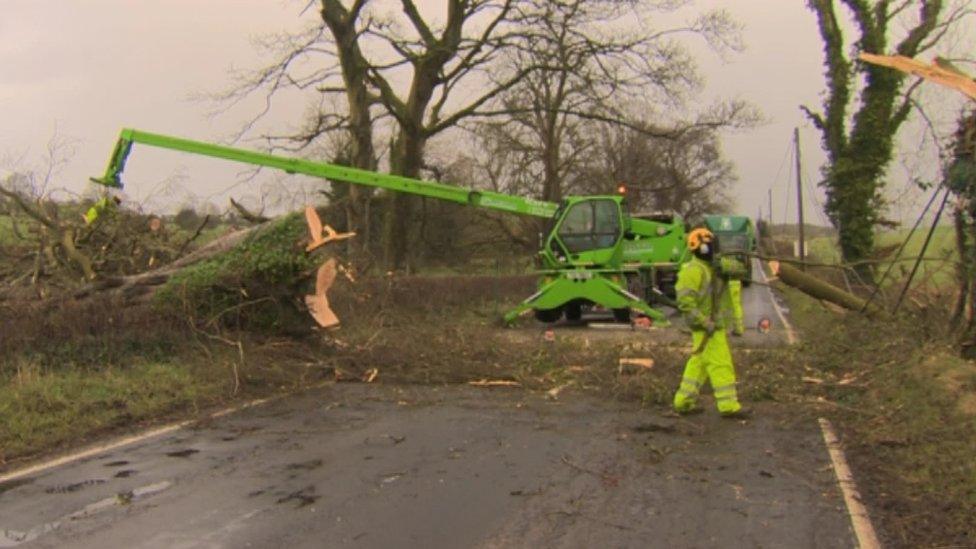 Road workers remove a tree that had fallen across a road in County Londonderry