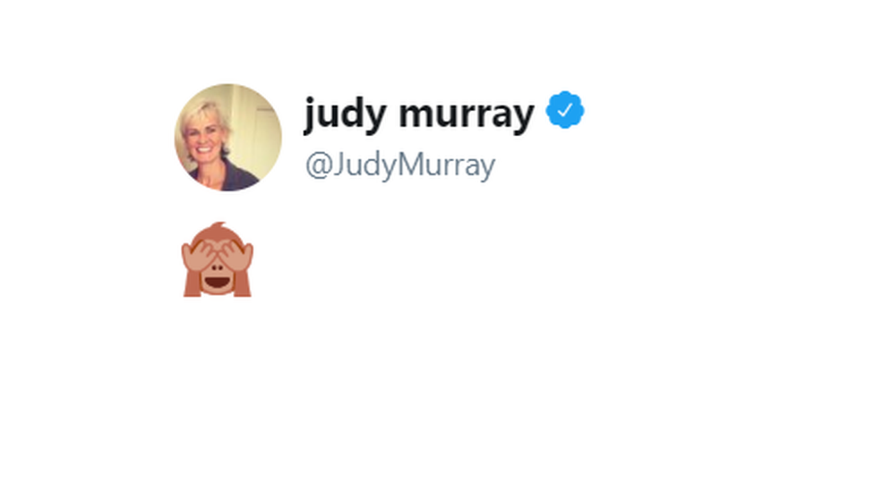 judy-murray-posts-a-monkey-covering-its-eyes-on-twitter