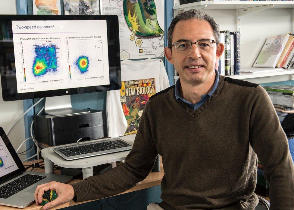 Sophien Kamoun at his lab