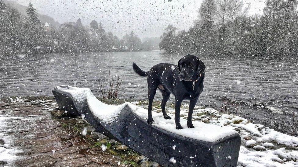 Weather watcher Alfiewoofwoof in Inverness