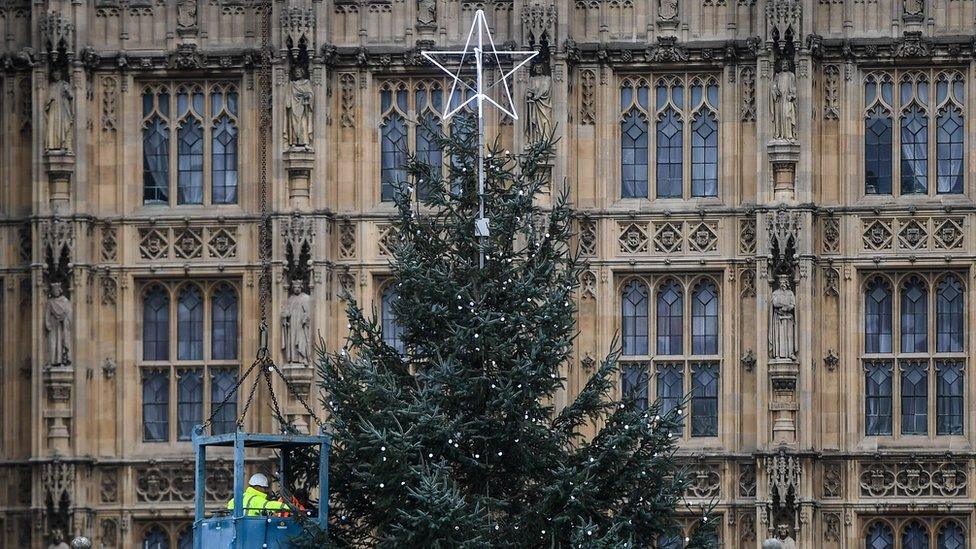 Large Christmas tree goes up outside Parliament