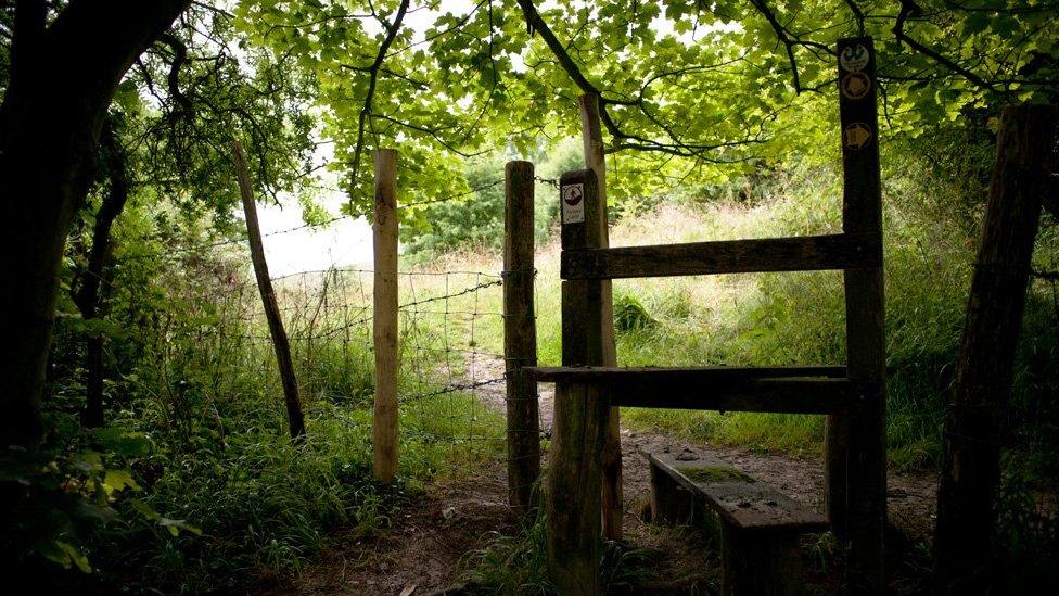 Stile on a footpath