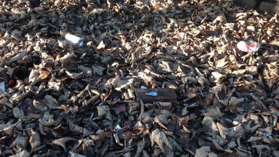 litter including empty alcohol cans can be found in the park