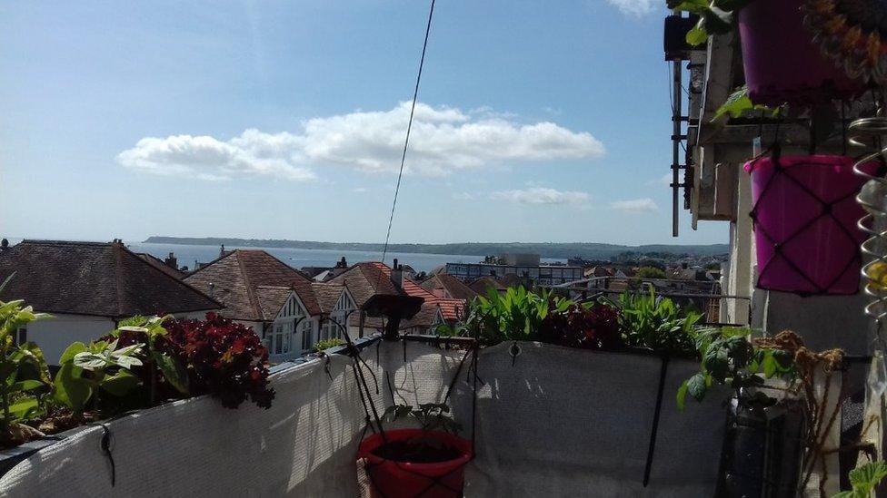 Balcony garden with sea view