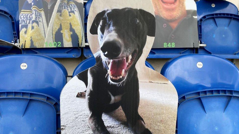 Cardboard cut-out of dog