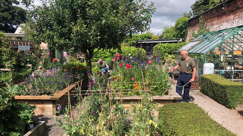 People gardening at Dig In Preston