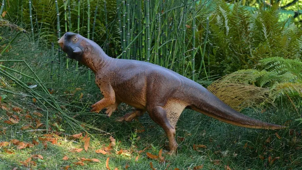 Psittacosaurus Recreation A life size accurate model of Psittacosaurus SMF R 4970 watch the second video to learn more.