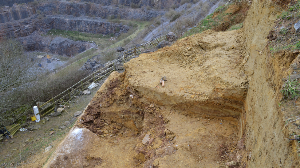 Westbury Cave excavation