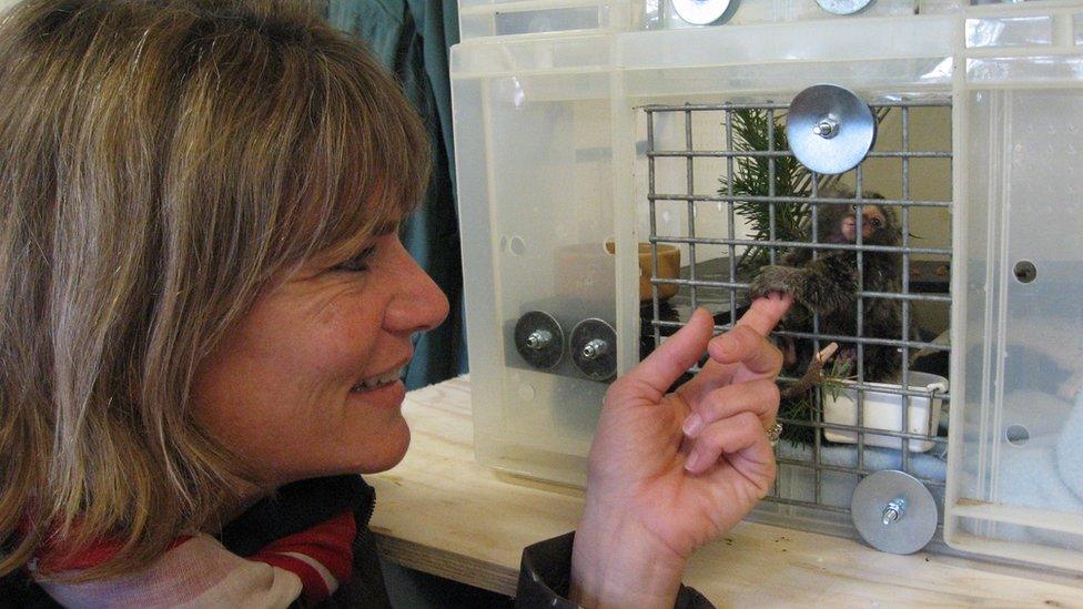 A woman puts her fingers through the bars of a cage to touch a monkey