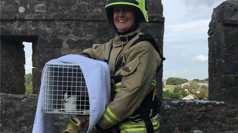 Firefighter with kitten