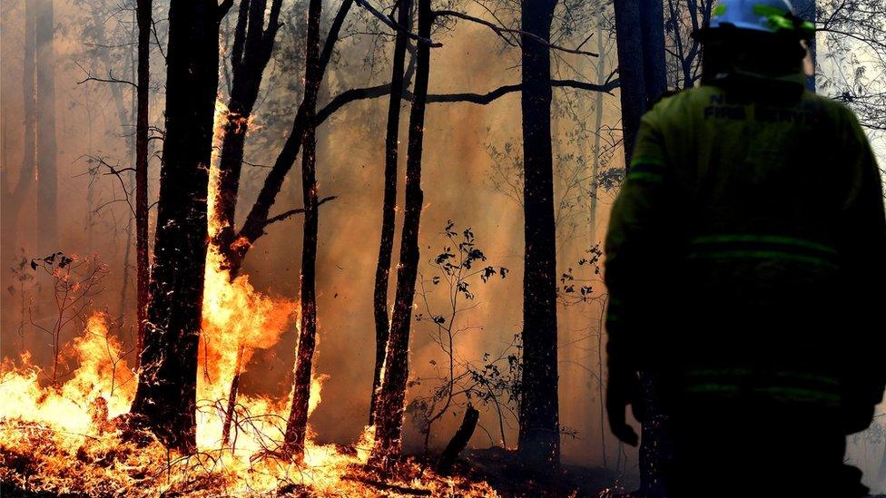 A firefighter facing a fire stands with their back to the camera