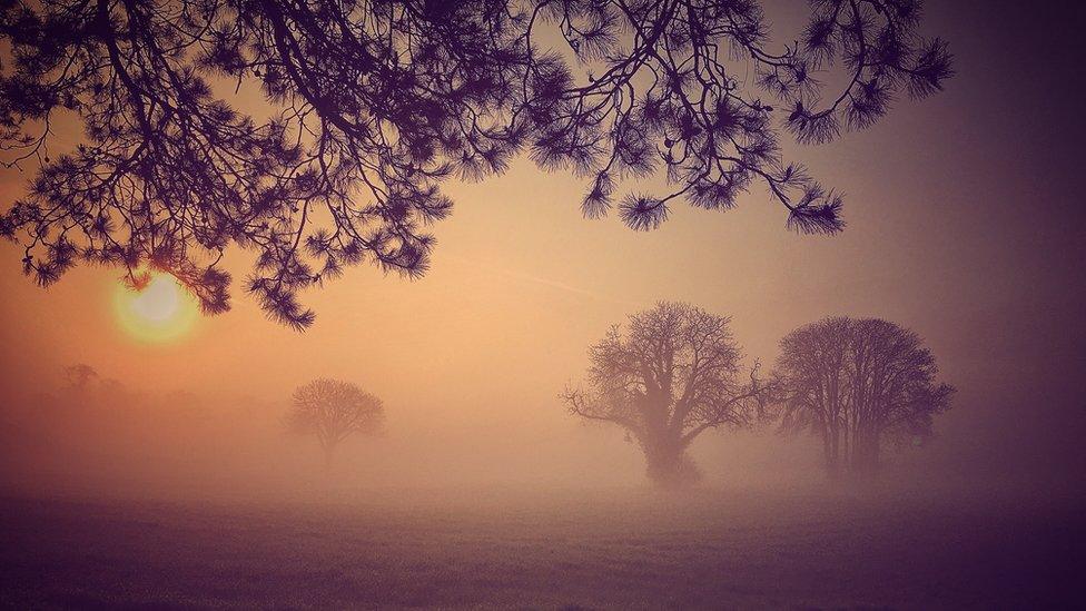 Misty morning in Abingdon