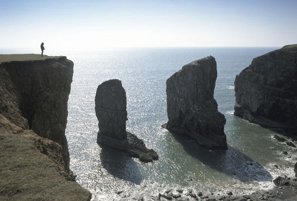 Elegug Stacks, Pembrokeshire