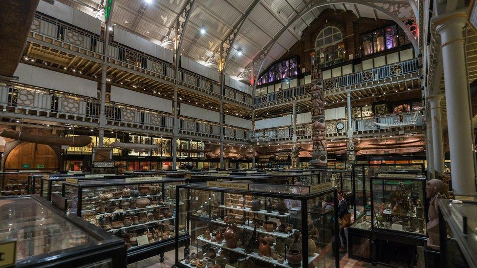 Pitt Rivers Museum