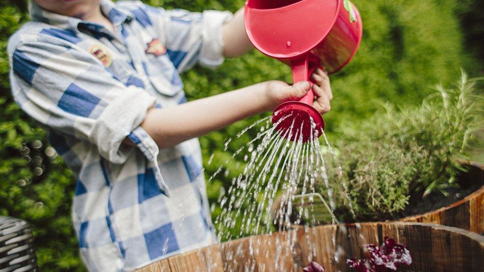 Child watering plants