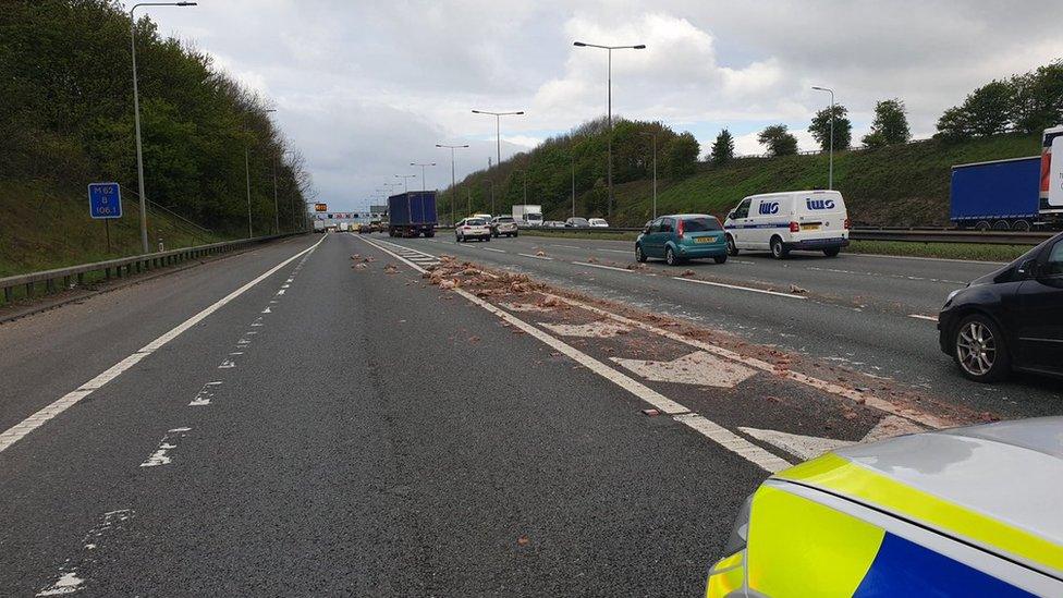 Dead birds on M62