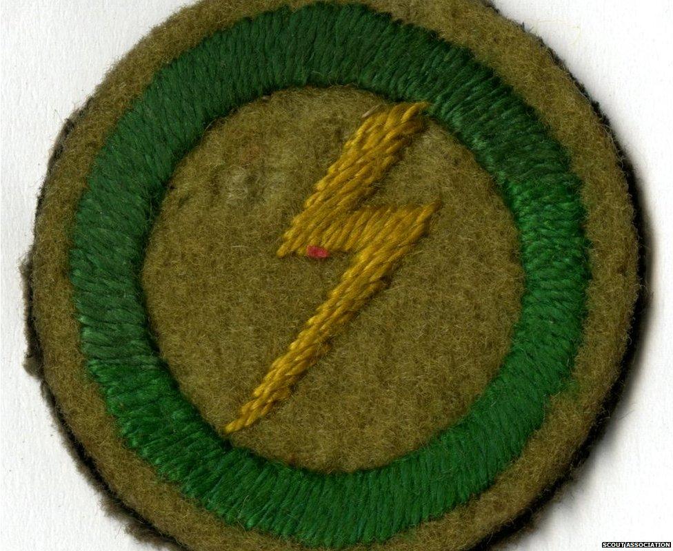 Electrician badge