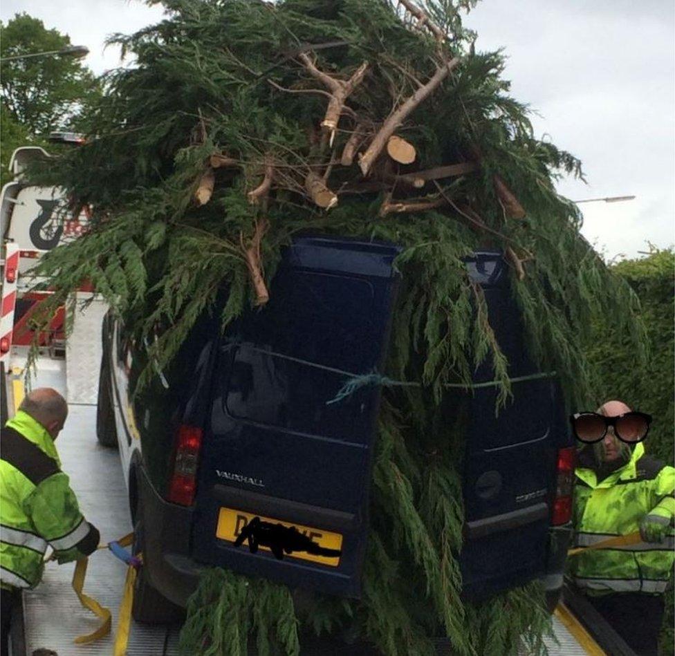 Tree on van being towed away