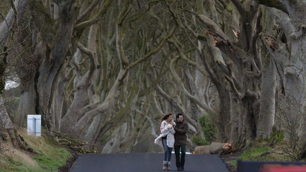 Game Of Thrones fans walk along the Dark Hedges