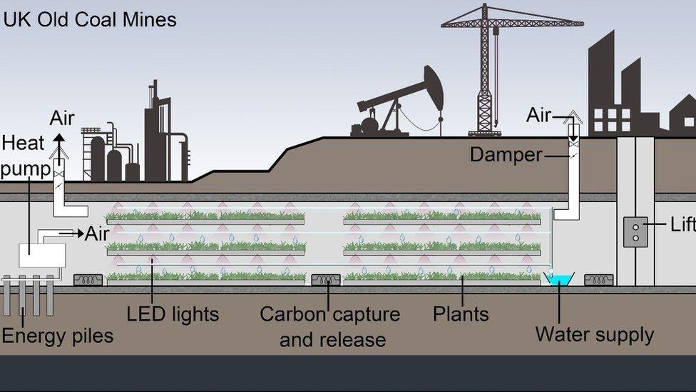 Image of mine shaft and tunnels for crop production