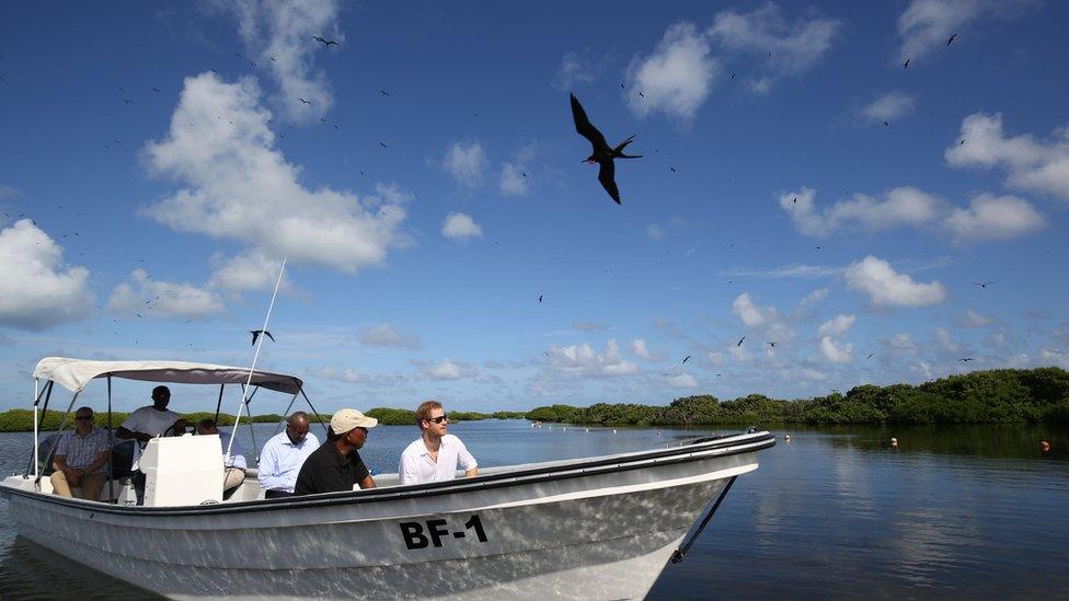 Prince Harry on a boat tour in Barbuda