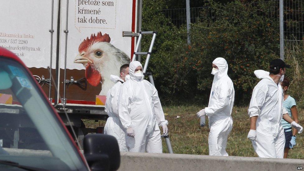 Forensic officers work at a truck inside which were found a large number of dead migrants on a motorway near Neusiedl am See, Austria (August 27, 2015)