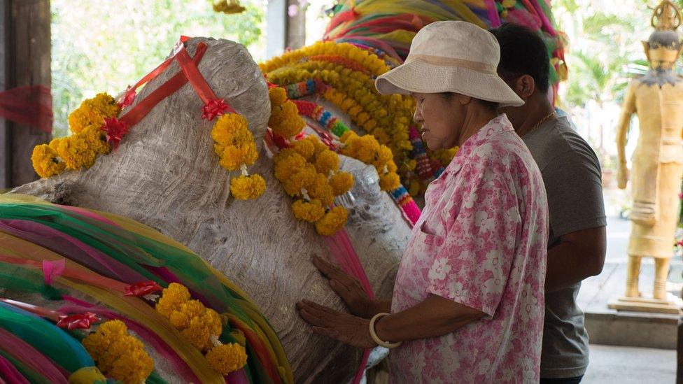 Old woman stands next to a tree trunk fabled for supposedly showing believers winning lottery numbers in its patterns