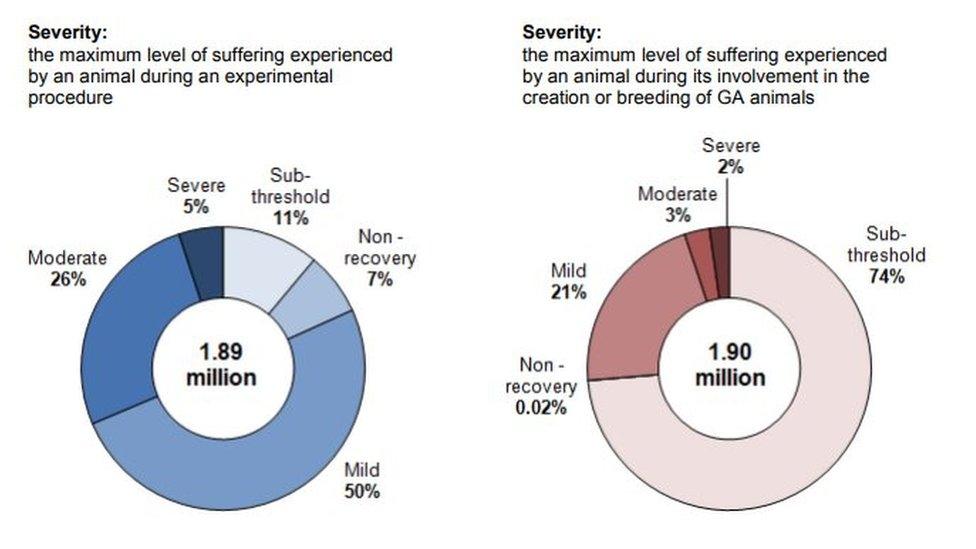 A pie chart showing the severity of animal research