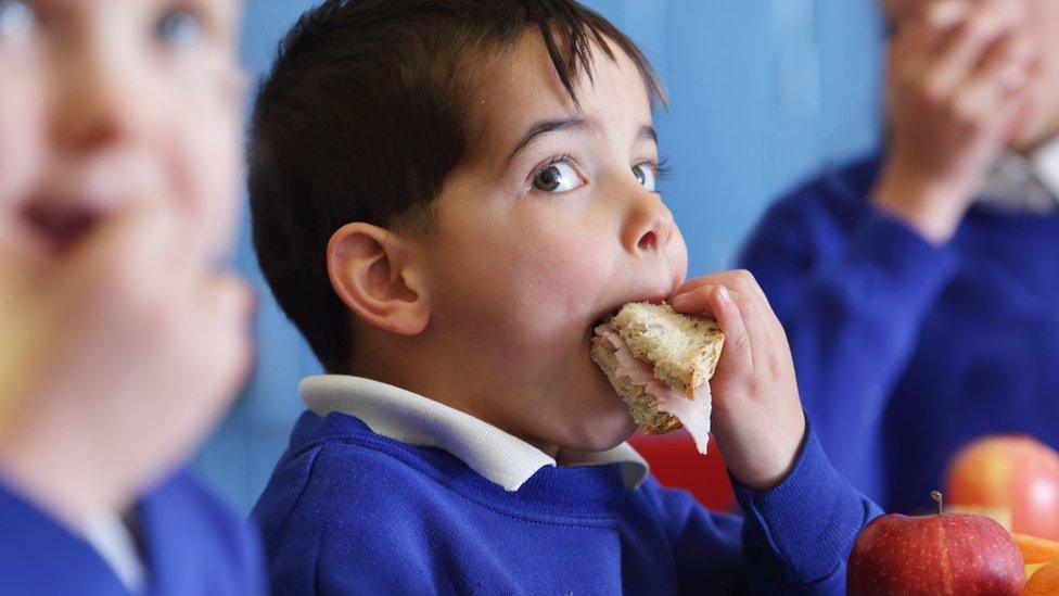 child eating sandwich